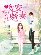 他与微光皆倾城txt电子书下载
