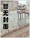 天才神医叶辰小说全集免费